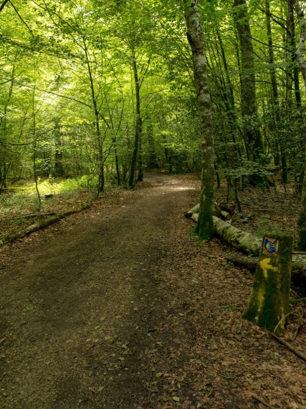 Masajes Ayurveda para peregrinos en el Camino Primitivo